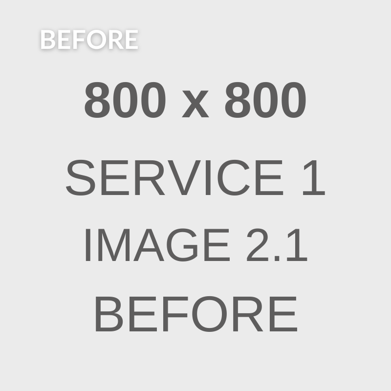 service1-image2_1-before
