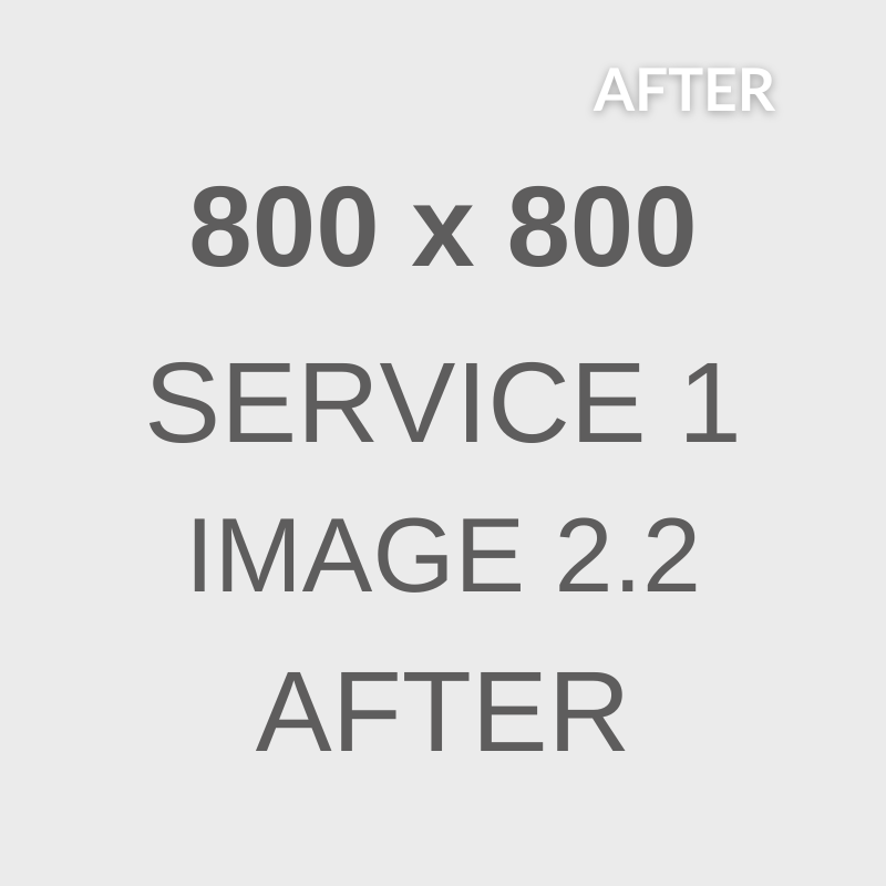 service1-image2_2-after